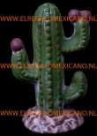 cactus terracotta