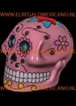 mexicaanse skull dia de los muertos