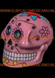 mexicaanse skull dia de los muertos