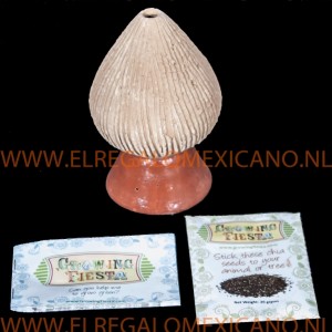 growing fiesta chia zaden beeldje