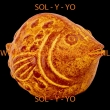 SOL-Y-YO 6420 Vis terracotta