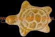 Terracotta schildpadje 10x8x4cm. geel